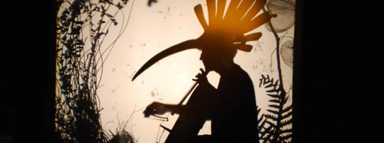 Spectacle Volatile Ombré