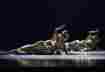 torpeurclaurent_philippe