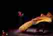 bleuetsdanslesyeux_Helice_cfrederic_schadoroff2
