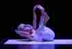 Spectacle Cogito