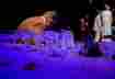 un_mariage_5_credits_sylvain_madelon