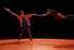 basarkus_©sylvere_lamotte
