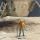 cosmos_1979cfred_ladoue